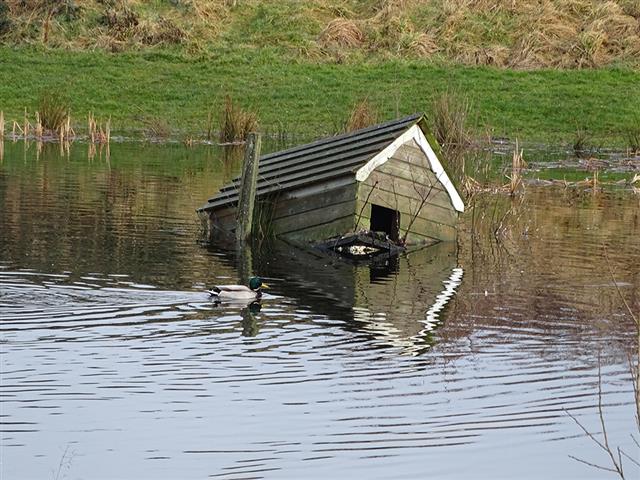 Eendenhuisje 0 